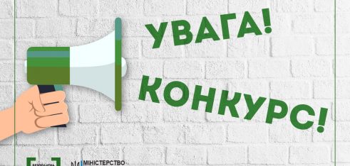 Домашнє насильство: кого і за що карає закон