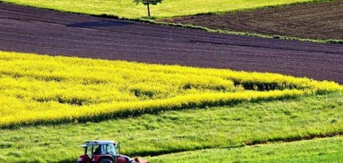 Адвокат домігся визнання додаткової угоди про оренду землі недійсною