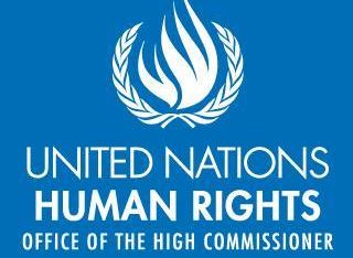 На захисті прав людини спільно з  Моніторінговою місією ООН