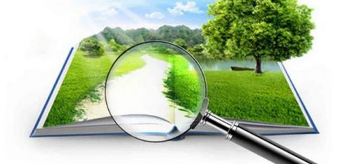 Коли спадщина визнається відумерлою