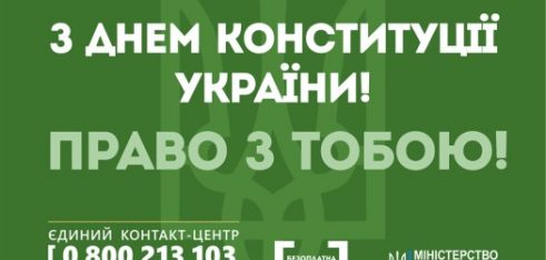 До Дня Конституції України: результати роботи закладів системи БПД Херсонщини