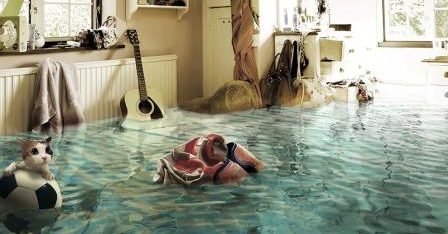 Юрист Полтавського бюро правової допомоги допоміг жінці захистити свої права при стягненні з неї відшкодування шкоди за залиття сусідської квартири