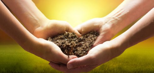 Дитина отримала у спадок землю. Як оформити право власності?