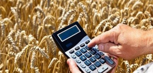 Про обов’язок сплати земельного податку інформують юристи системи БПД Сумщини